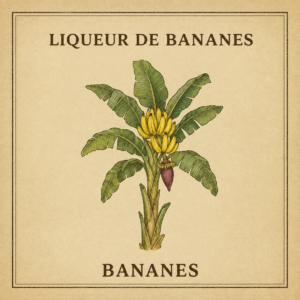 Liqueur de Bananes